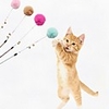Teaser Feather Toy Interactive Toy Cat Toys Set Cat Pet Toy 1pc Pet Exercise Releasing Pressure Plush Gift