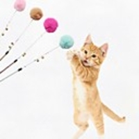 Teaser Feather Toy Interactive Toy Cat Toys Set Cat Pet Toy 1pc Pet Exercise Releasing Pressure Plush Gift
