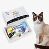 Teaser Feather Toy Interactive Toy Cat Toys Set Cat Pet Toy 5pcs Pet Exercise Releasing Pressure Plastic Gift