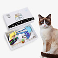 Teaser Feather Toy Interactive Toy Cat Toys Set Cat Pet Toy 5pcs Pet Exercise Releasing Pressure Plastic Gift