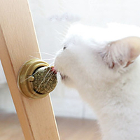 Teeth Cleaning Toy Cat Toy Catnip Toy Cat Pet Exercise Teething Rope Toy Teething Toy Wood Catnip Gift Pet Toy Pet Play miniinthebox