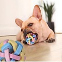 Teeth Cleaning Toy Rodents Dog Kitten Pet Toy 1pc Round Pet Friendly Pet Exercise Teething Rope Toy Rubber Gift