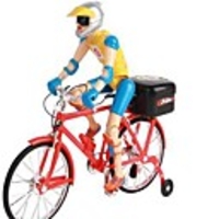 The Electric Bicycle Riding Toy