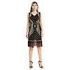 The Great Gatsby Charleston Retro Vintage 1920s Vacation Dress Flapper Dress Dress Women