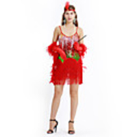 The Great Gatsby Charleston Retro Vintage 1920s Vacation Dress Flapper Dress Dress Women