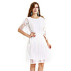 The Great Gatsby Charleston Vintage 1920s Vacation Dress Flapper Dress Party Costume Masquerade Women