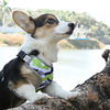 the new pet adjustable vest-style reflective chest strap,  comfortable and breathable dog leash,  small dog leash miniinthebox
