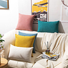 Throw Pillow Cushion Cover Nordic Minimalist Colorful Dutch Velvet Ultrasonic Wheat Texture Pillowcase Patio Throw Pillow Covers for Garden Farmhouse Bench Couch miniinthebox