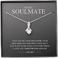 to my future wife necklace,  to my wife,  necklaces for wife from husband with message card and gift box,  necklace for girlfriend (alluring beauty necklace)