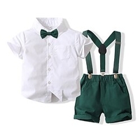 Toddler Boys Shirt Shorts Clothing Set 2 Pieces Short Sleeve White Solid Color Gentle 1-4 Years miniinthebox