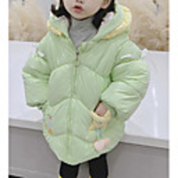 Toddler Girls