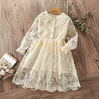 Toddler Little Girls
