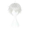 Tokyo Ghoul Ken Kaneki Cosplay Cosplay Wigs Unisex 14 inch Heat Resistant Fiber Anime Wig / Other / Other