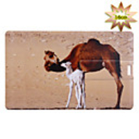 Trendy Card Shaped USB 2.0 Drive(16GB)