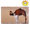 Trendy Card Shaped USB 2.0 Drive(2GB)
