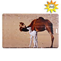 Trendy Card Shaped USB 2.0 Drive(2GB)