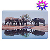 Trendy Card Shaped USB 2.0 Drive(4GB)