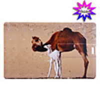 Trendy Card Shaped USB 2.0 Drive(4GB)