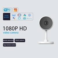 TUYA 1080P wireless camera wifi home monitor mobile phone remote HD night vision security smart camera miniinthebox