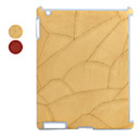 Unique Protective Back Case/Cover/Skin for Apple iPad 2