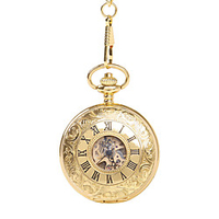 Unisex Pocket Watch Mechanical manual-winding Casual Hollow Engraving Analog Gold / Titanium Alloy