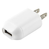 USB AC Adapter for iPhones and Kindles (US Plug)