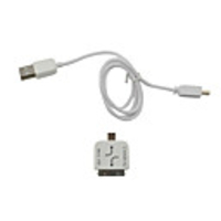 USB Data/Charging Cable for iPad / iPad 2 / iPhone 4 / 4S / 3G / 3GS,  HTC / BlackBerry and More