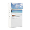 USB Rechargeable Electronic 1 Cigarettes with Car Chargers and 10-Refills Set