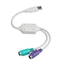USB to 2-PS2 Adapter Cable (30cm-Length)