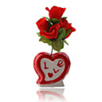 Valentine/Party​/Wedding Gift Red Rose in Bottle
