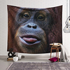 Wall Tapestry Art Decor Blanket Curtain Hanging Home Bedroom Living Room Decoration Polyester miniinthebox