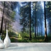 Wall Tapestry Art Decor Blanket Curtain Picnic Tablecloth Hanging Home Bedroom Living Room Dorm Decoration Misty Forest Nature Landscape Sunshine Through Tree