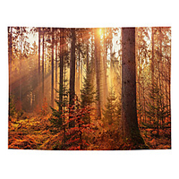 Wall Tapestry Art Decor Blanket Curtain Picnic Tablecloth Hanging Home Bedroom Living Room Dorm Decoration Polyester Gold Forest Sunshine Beauty Views miniinthebox