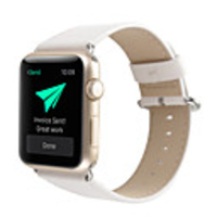 Watch Band for Apple Watch Series 5/4/3/2/1 Apple Classic Buckle Microfiber Wrist Strap