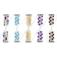 Watch Band for Apple Watch Series 5/4/3/2/1 Apple DIY Tools PC Wrist Strap