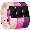 Watch Band for Fitbit Charge 2 Fitbit Sport Band Stainless Steel / Silicone Wrist Strap