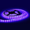 Waterproof 5M 300x5050 SMD Blue Light LED Strip Lamp (12V)