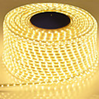 Waterproof LED Strip IP65 LED Tape 120LEDs/M String lights SMD5630 Flexible Light Garden lamp Two Row LED Strips