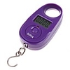 WH-A11-9970 Mini Digital Scale