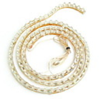 White 60-LED Flexible Neon Strip Lightfor for Car or Trucks -120cm