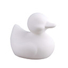 White Duck-Medium