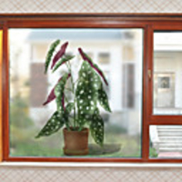 Window Film Stickers Decoration Contemporary / 3D Flower / Floral PVC(PolyVinyl Chloride) Window Sticker / Anti-Glare