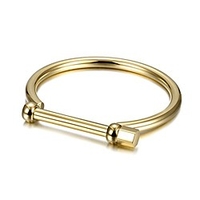 wistic gold cuff bangle bracelet stainless steel screw bar bracelet for women men