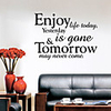 Words "es Wall Stickers Plane Wall Stickers Decorative Wall Stickers,  PVC(PolyVinyl Chloride) Home Decoration Wall Decal Wall Decoration / Removable / Re-Positionable