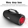 ZEALOT S29 Wireless Bluetooth Speaker FM Radio Portable Speaker Subwoofer Flashlight Power Bank Support TF Card USB Pen Drive