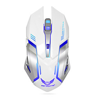 ZERODATE X70 Wireless 2.4G Gaming Mouse RGB Light 3200 dpi 3 Adjustable DPI Levels 6 pcs Keys