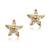 Zircon Inlaid Flowers Shape Ear Studs