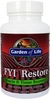 Garden of Life FYI Restore Muscle and Tissue Recovery (60 Enteric Coated Capsules)