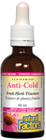 Natural Factors Anti-Cold Tincture (50 ml Tincture)