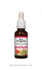 Natural Factors Bee Propolis Tincture (25% Extract,  30ml Liquid)